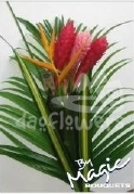 bq 82 mix ginger